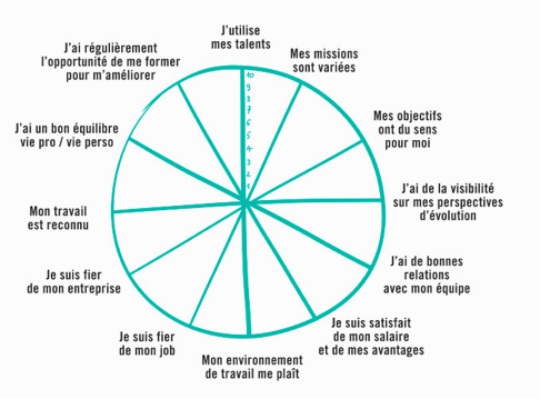 roue niveau de satisfaction pro